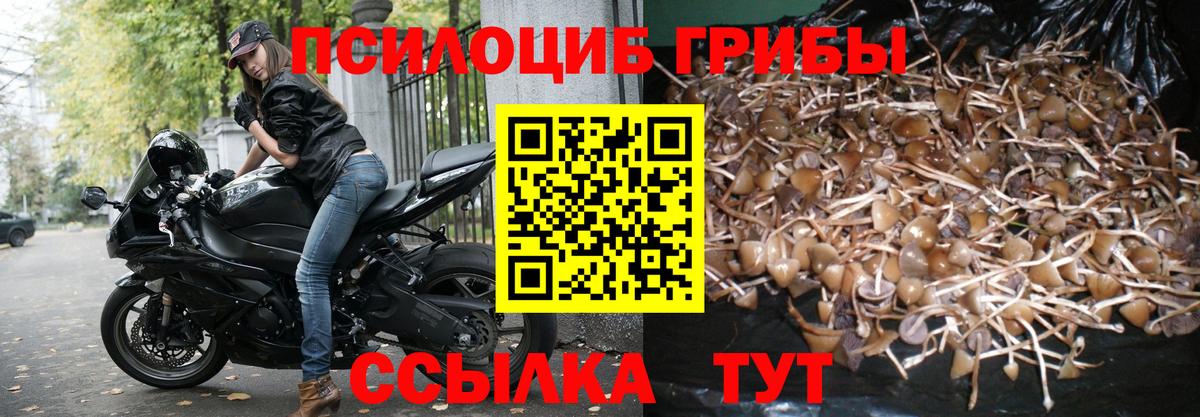 Барнаул  Галлюциногенные грибы мухоморы  Галлюциногенные грибы прущие грибы  Вход с VPN 